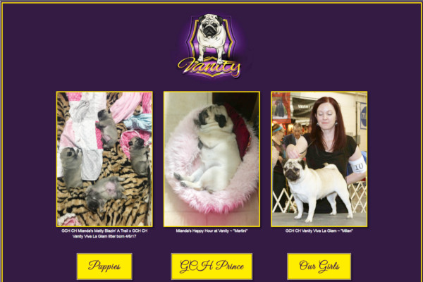 vanity pugs website example